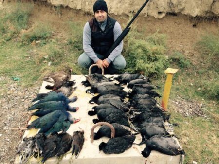 Amansızlıqla törədilən qətl hadisəsinin məhkəməsi davam edir…